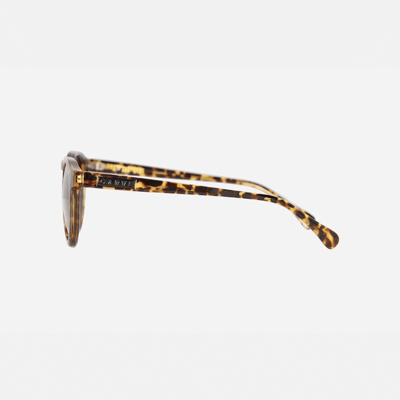 HUDSON VELENCIA TORT SUNGLASSES