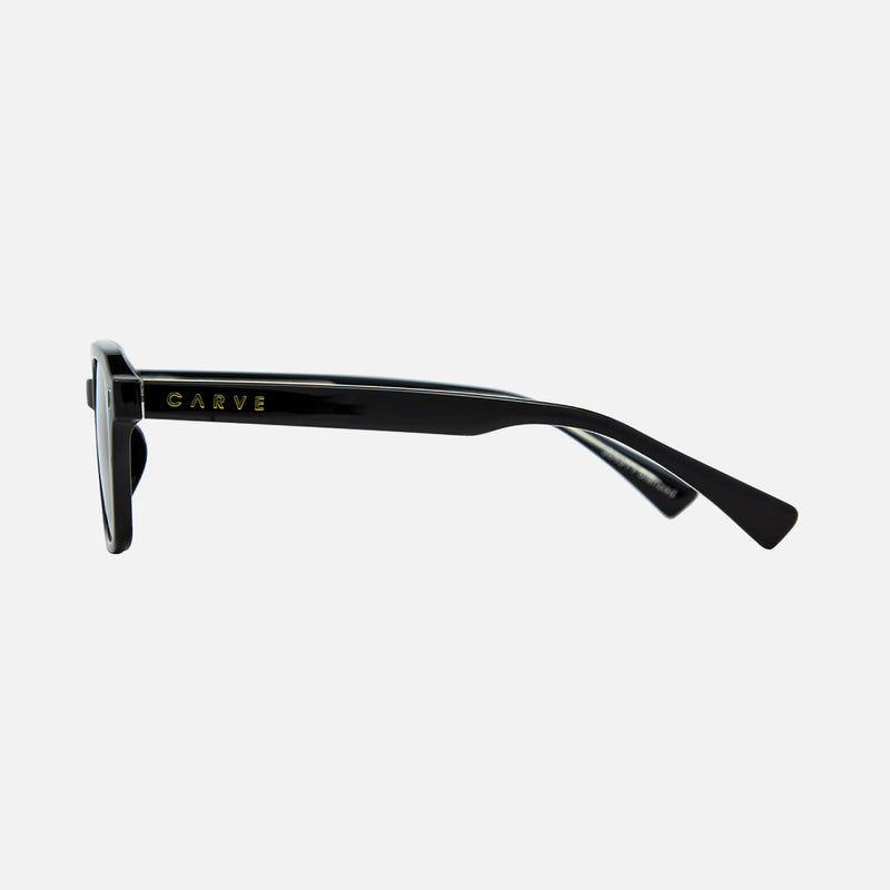 DEL RAY GLOSS BLACK SUNGLASSES