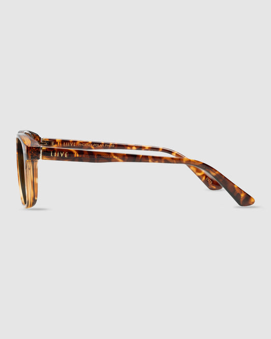 PHOENIX POLARISED SUNGLASSES