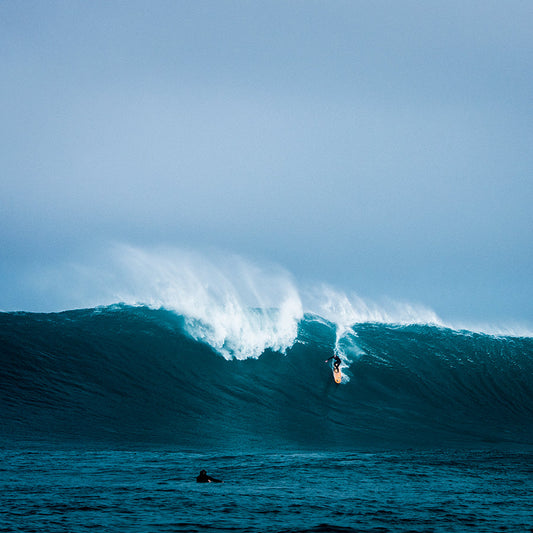 TOW ROPE 316 STAINLESS QUICK RELEASE SHACKLE