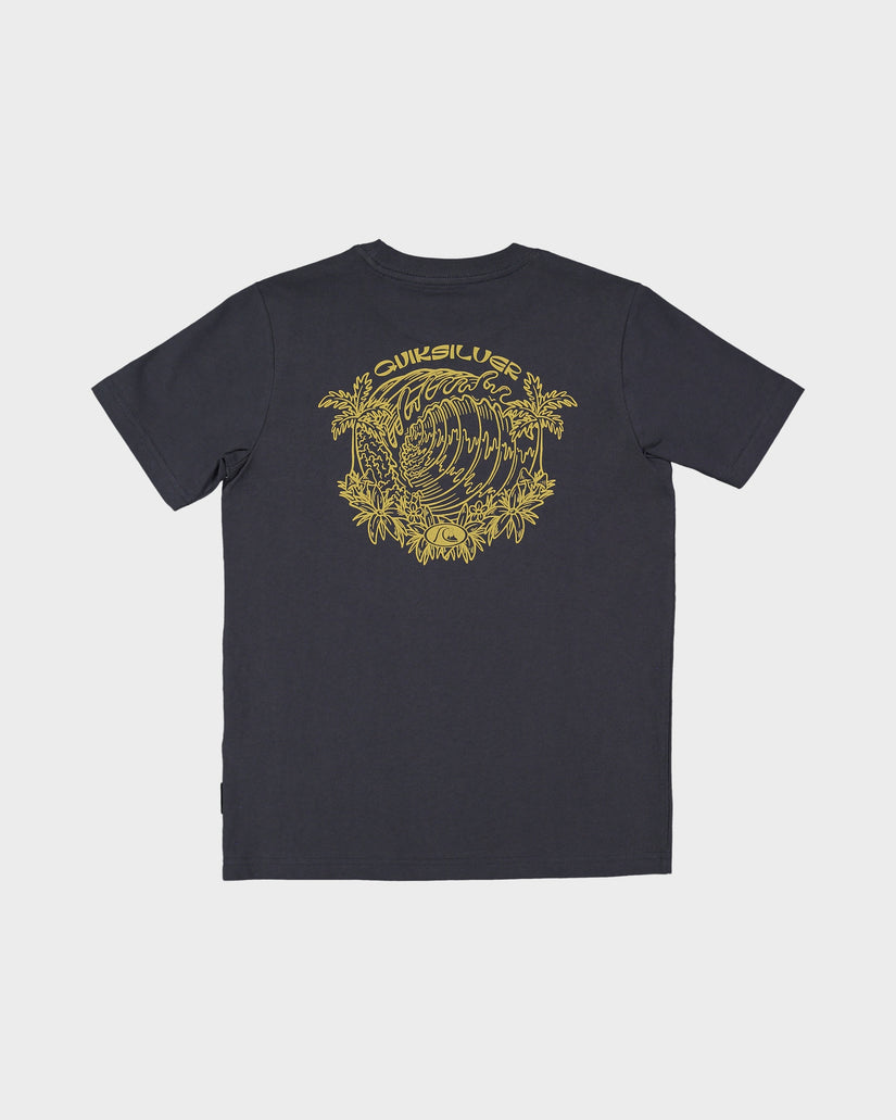 QUIKSILVER BOYS INSIDE SECTION T-SHIRT