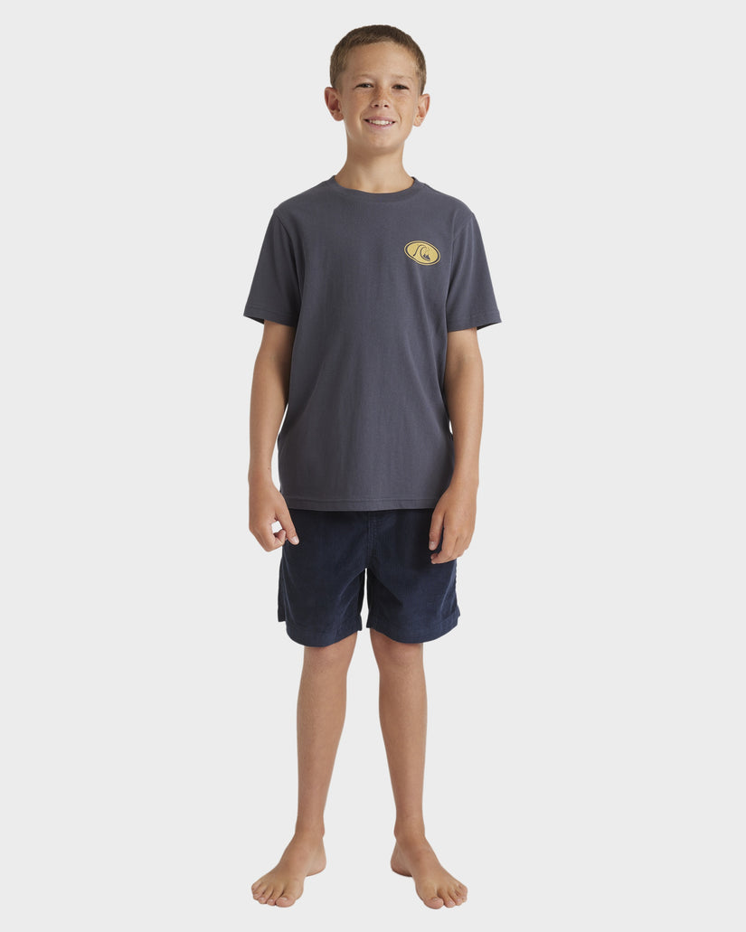 QUIKSILVER BOYS INSIDE SECTION T-SHIRT