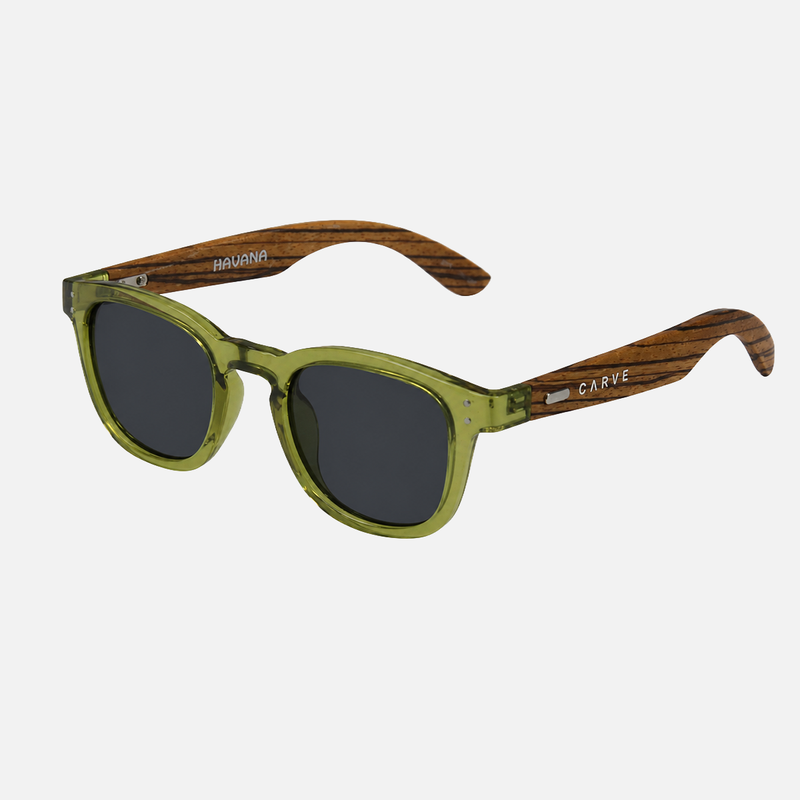 HAVANA POLARISED SUNGLASSES