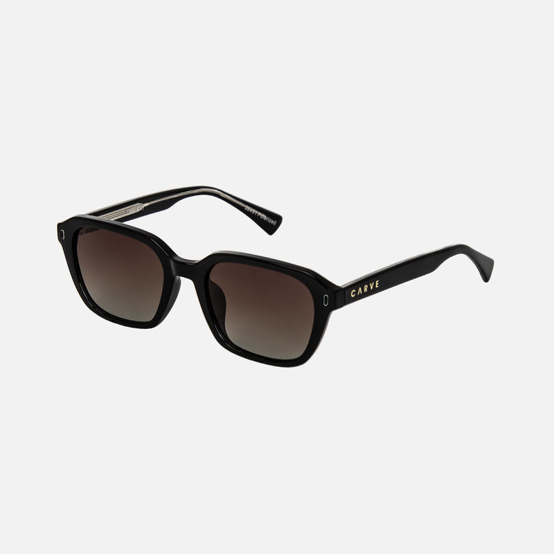 DEL RAY GLOSS BLACK SUNGLASSES