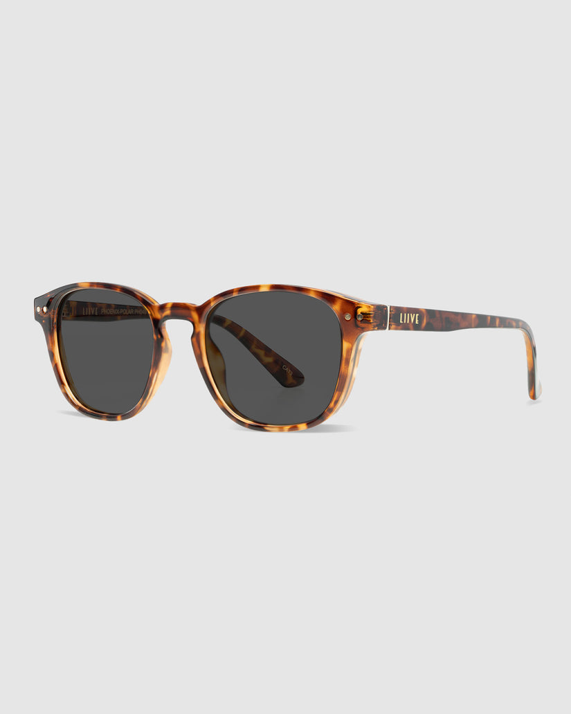 PHOENIX POLARISED SUNGLASSES