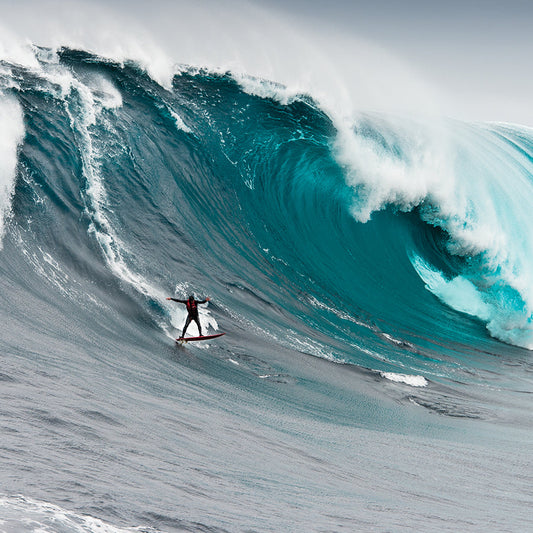 TOW SLED 316 STAINLESS 8MM BOW SHACKLE