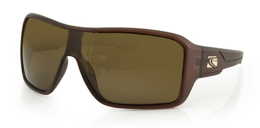 ELECTRIFY BROWN POLARIZED